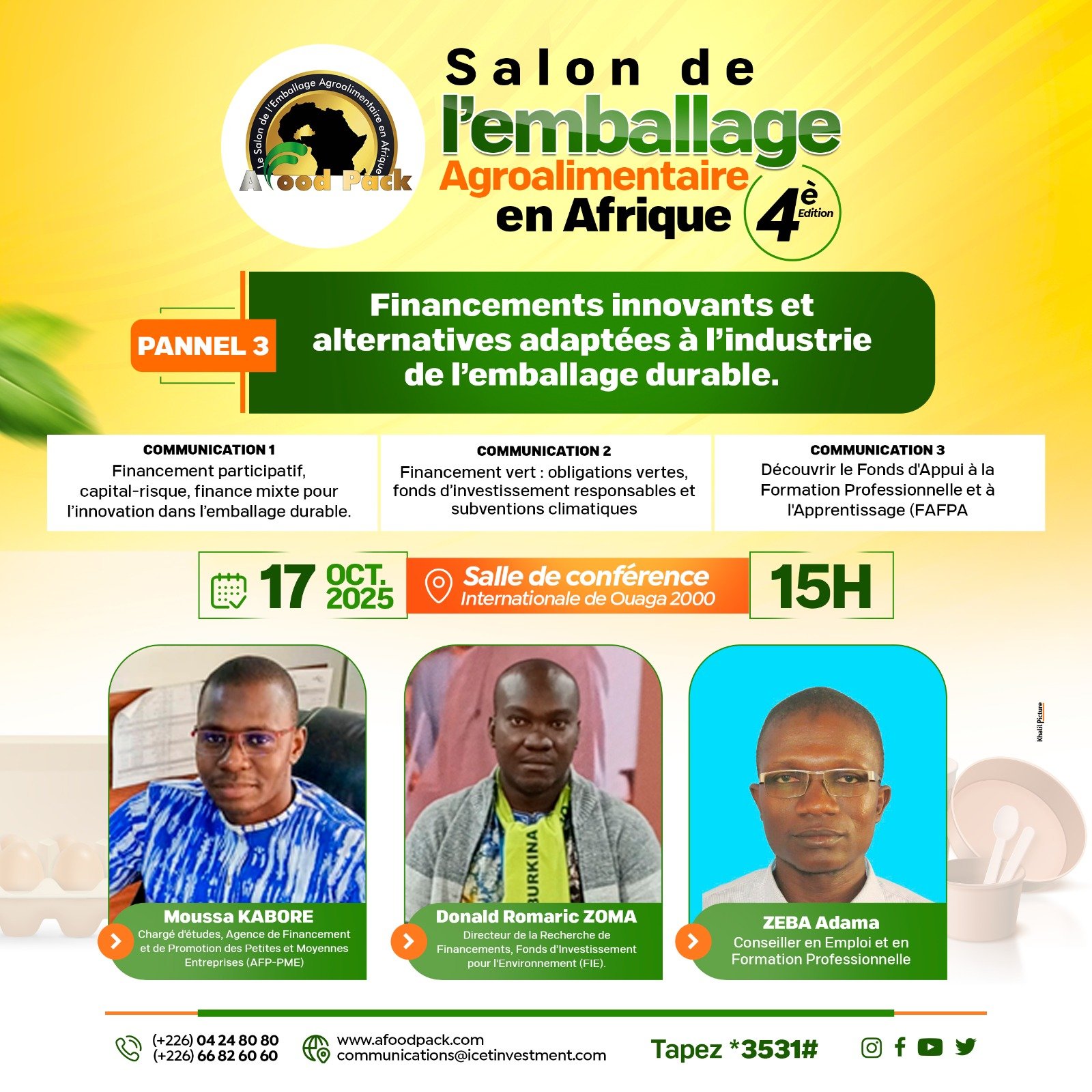 Panel 3 : Financements innovants et alternatives adaptées